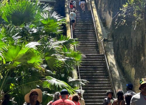 nassau island tours